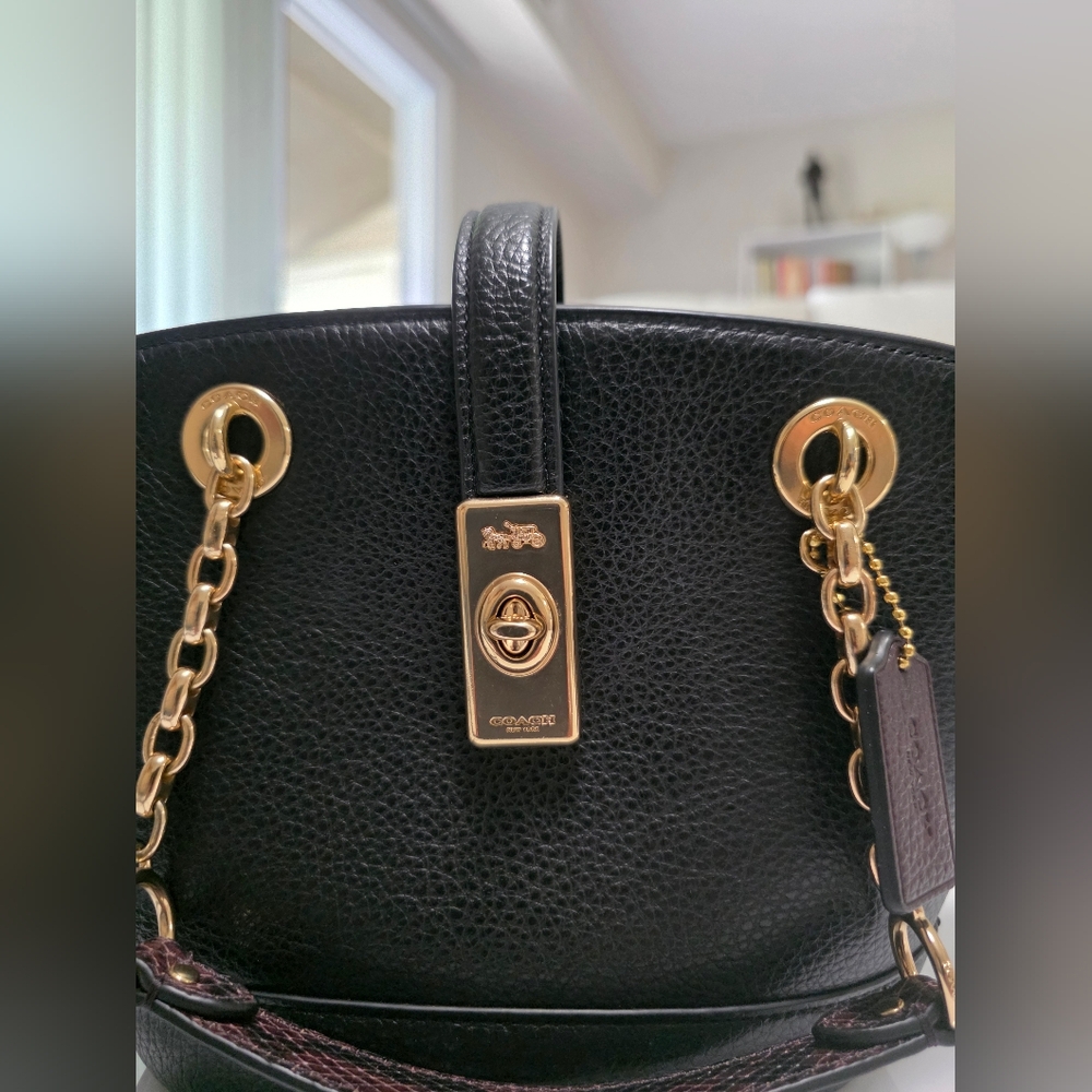 Coach Lane Bucket Bag NWOT - Picture 3 of 16